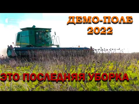 Видео: Последняя уборка подсолнечника 2022, демо-поле, лучшие гибриды 2022.