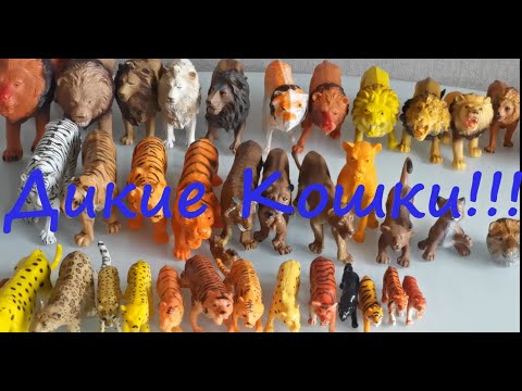Видео: Коллекция тигров Papo и Collecta. Дикие кошки Влады. (2021)
