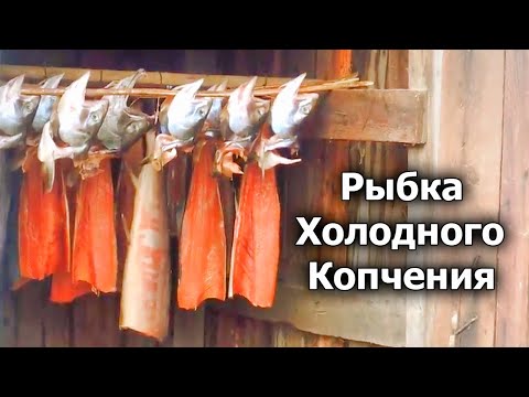 Видео: Солим и коптим красную рыбу Кету! Холодное копчение по деревенски! Рецепт от Семь Перцев!