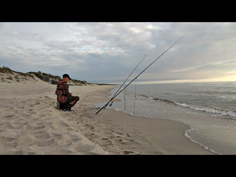 Видео: Рыбалка с ночёвкой на диком пляже! ПОЙМАЛ ДИКОВИНУ! НОЧНОЙ КЛЁВ на ДОНКИ! ч.2