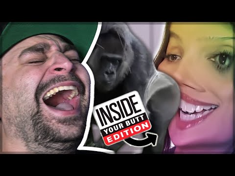 Видео: НЕ МОГУ ПЕРЕСТАТЬ СМЕЯТЬСЯ! 🤣 - [YTP] Издание «Задница гориллы» (cs188) РЕАКЦИЯ!