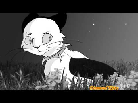 Видео: Костяк/Bone - Ego