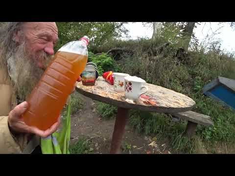 Видео: Пьём пиво на берегу\История про туризм