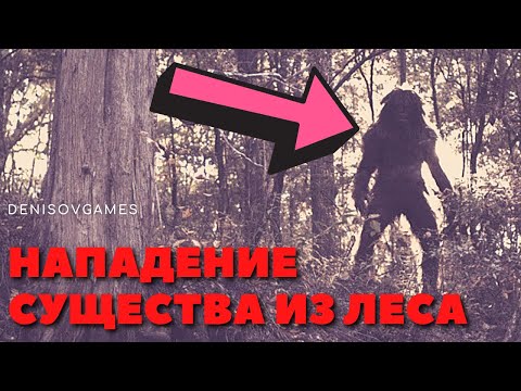 Видео: НАПАДЕНИЕ ЛЕСНОГО СУЩЕСТВА ( Страшная история на день )