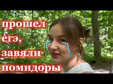 Видео: ПРОШЕЛ ЕГЭ, ЗАВЯЛИ ПОМИДОРЫ слава богу….🍅💀