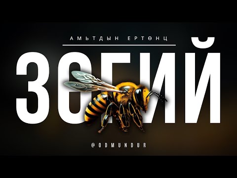 Видео: Зөгий - АМЬТДЫН ЕРТӨНЦ