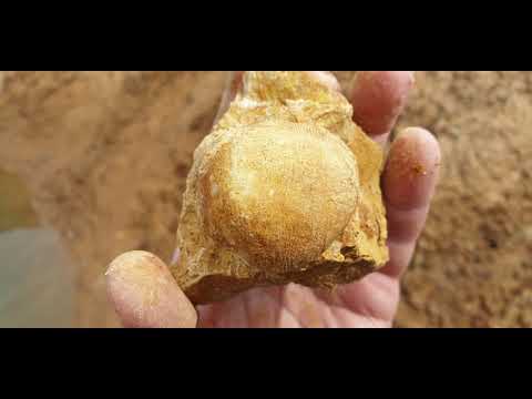 Видео: Карьеры Подмосковья.