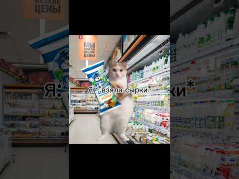 Видео: Рил: идёшь с мамой в магазин 2 #врек #милота #магазин #мемыскотами #пжврек #чописать