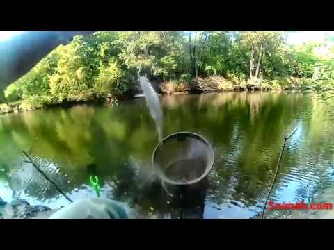 Видео: Риболов на река Ропотамо - 09.2015