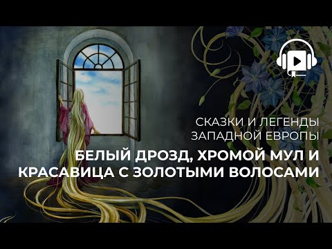 Видео: Белый дрозд, хромой мул и красавица с золотыми волосами