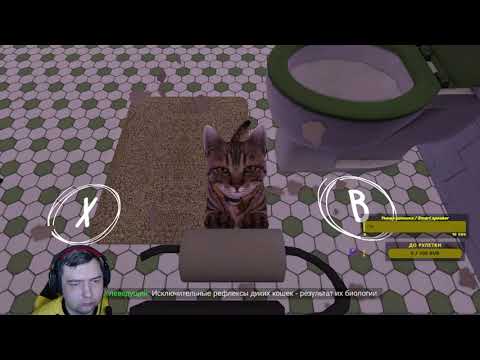 Видео: Copycat #2 - От дикости к дружбе / From wildness to friendship | #CopycatGame #keymailer