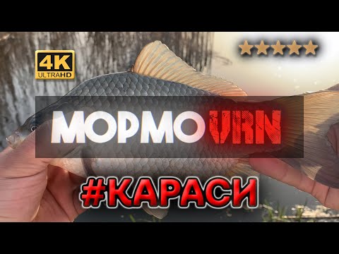 Видео: #210 #мормышинг #карась| Как поймать карася на спиннинг | Карась на силикон | Вечерняя рыбалка |