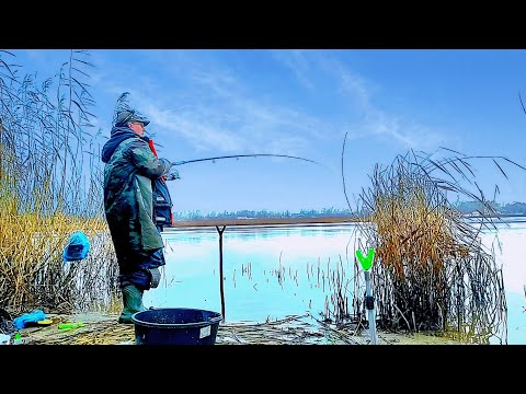 Видео: ЛЕЩ на перелом погоды .С плюса на минус .Проверил . Фидер . ЛЕЩ в НОЯБРЕ . Рыбалка на Фидер.