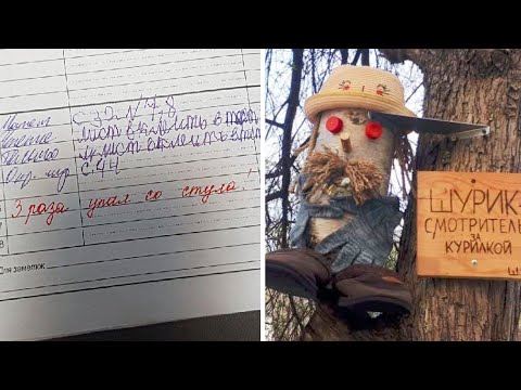 Видео: Фото подписчиков Фактории (238 часть)