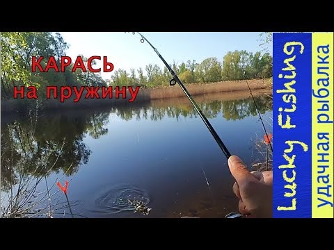 Видео: Карась на пружину I залив с. Разумовка
