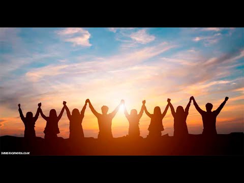 Видео: 8.7.1. Социальная материя. Загадка происхождения человека