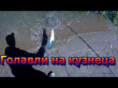 Видео: 2 тест рыболовного кораблика. Санок. Больше голавлей! Но кораблик еще требует доработки!