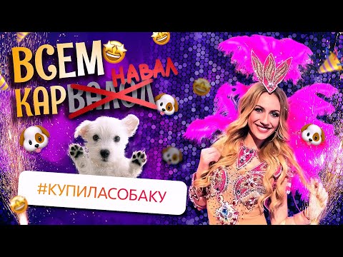 Видео: КАРНАВАЛ || КАРАОКЕ С ПЕДАНОМ || ЗАВЕЛА ДРУГА
