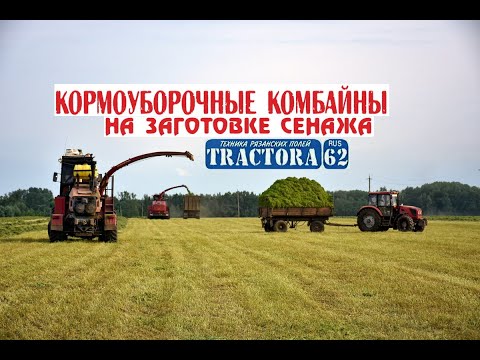 Видео: Кормоуборочные комбайны Палессе FS-80 и УЭС-250 на подборе валков