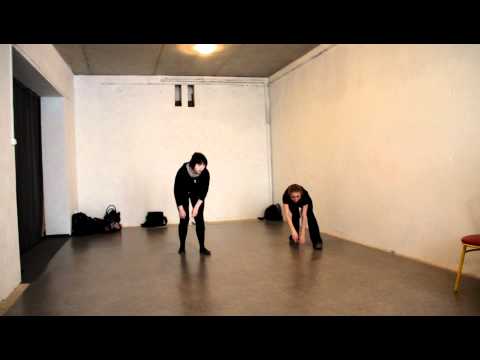 Видео: сурикат