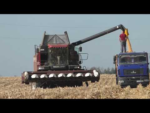 Видео: Кукуруза на зерно с GOMSELMASH GS12A1 PRO