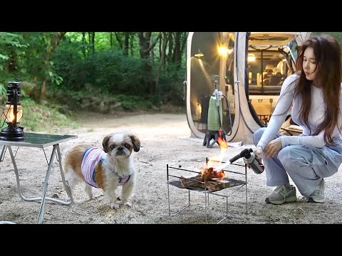 Видео: Одиночный кемпинг в палатке-автомобиле в глухом лесу с 16-летней собакой