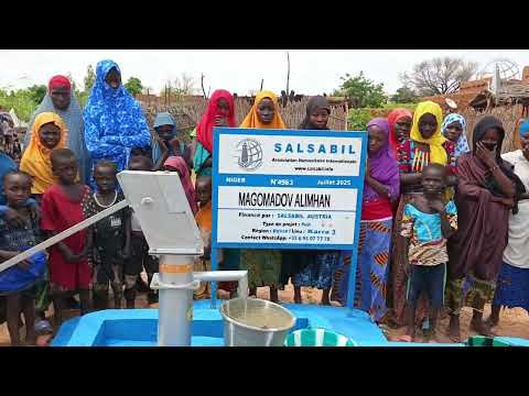 Видео: Puits / Колодец №: 4963 Niger