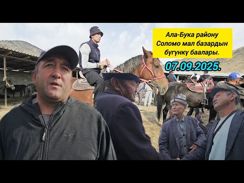 Видео: 07.09.2025. Ала-Бука району Соломо мал базардын баалары. 