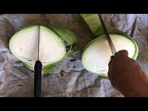 Видео: Капуста Агресор, оригінал чи підробка? Коли варто різати і де краще зберігати 