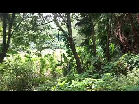 Видео: Про внутреннего ребёнка