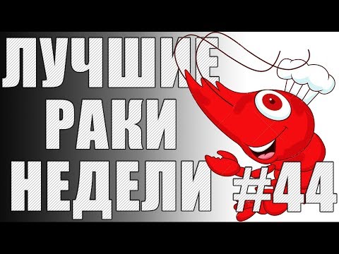 Видео: ЛРН выпуск №44. ОХОТА НА МАМОНТА и ЭПИЧЕСКАЯ ЗАРУБА НА МОСТУ [Лучшие Раки Недели]