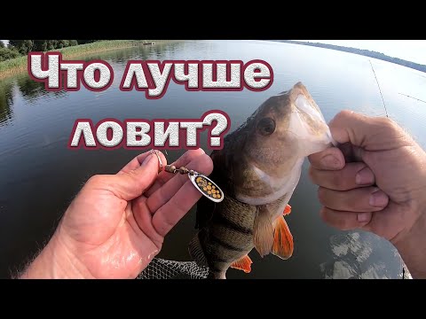 Видео: Что лучше Вращающаяся блесна или Тейл спиннер. Рыбалка на спиннинг. Ловля окуня-Соревнования.