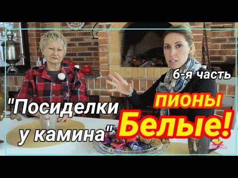 Видео: Посиделки у камина. Часть 6. Белые пионы / Сад Ворошиловой