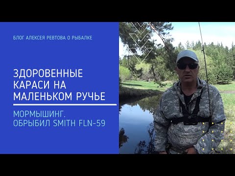 Видео: Мормышинг.  Здоровенные караси на маленьком ручье. Обрыбил Smith FLN-59 и выдрал браконьерскую сеть.