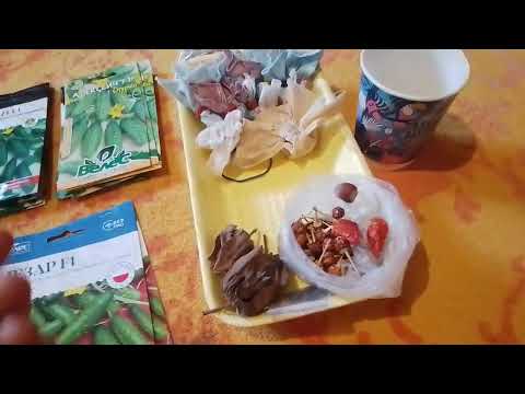 Видео: СІЮ ТІЛЬКИ ЦІ ОГІРКИ ТА ПОМІДОРИ,ЩОБ ЗБИРАТИ ВРОЖАЙ ВІДРАМИ!!?