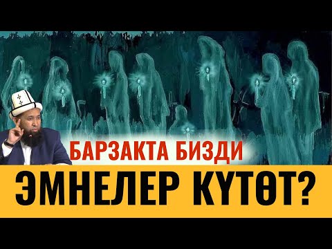 Видео: БАРЗАКТА ЭМНЕ КҮТӨТ?