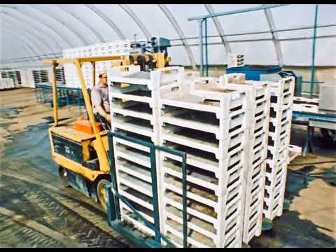 Видео: Современная технология выращивания овощей в теплицах часть 1, 1989