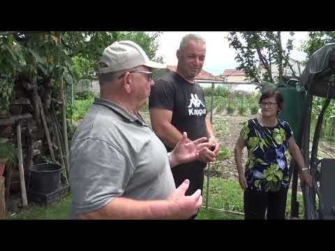 Видео: Долно оризари ( битолско)- прв дел