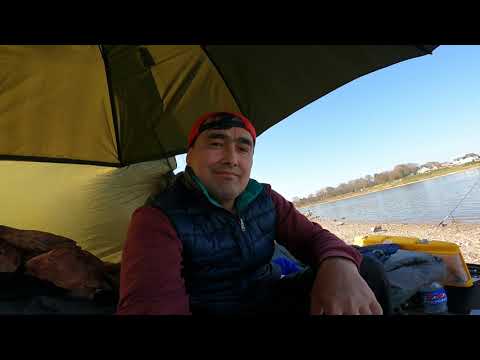 Видео: Рыбачим!!! Райн порадовал!!! Rhein!!!