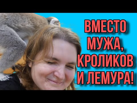 Видео: Зачем ей муж? КРОЛИКОВ ЕЙ! VREDINA LIFE. VREDINA.