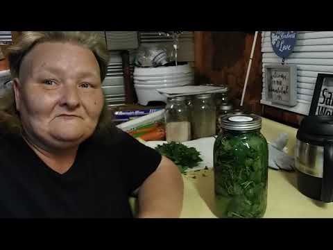 Видео: Как приготовить настойку из крапивы