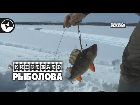 Видео: Зимняя рыбалка в Якутии. Щука на живца | Кинотеатр рыболова