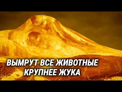 Видео: Как изменится природа на Земле из-за глобального потепления