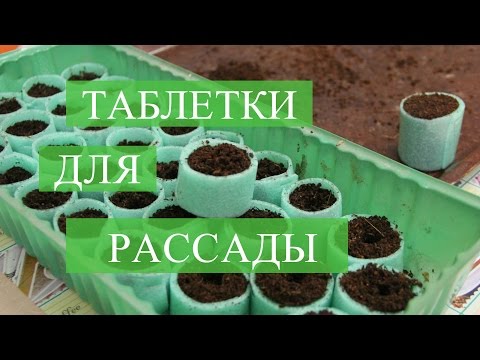 Видео: Как Сделать Таблетки для Рассады. Торфяные таблетки больше не нужны!
