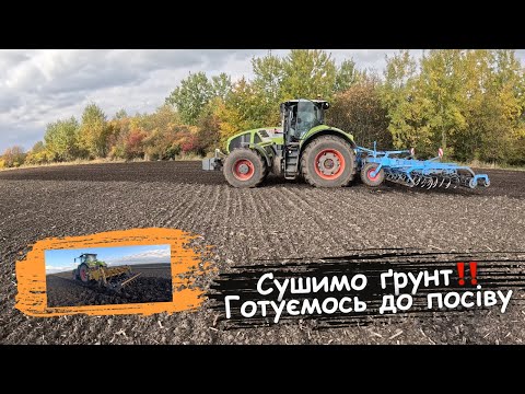 Видео: Є перші сходи пшениці‼️ Сушимо ґрунт, аби продовжити посівну 😬