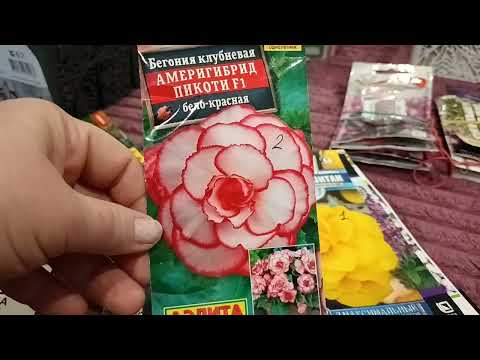 Видео: 🌿06.01.2025.🌿 Всех поздравляю с наступающим Рождеством 🌲🎇🌲 🌸💗🌼Немного поговорю про семена 😉