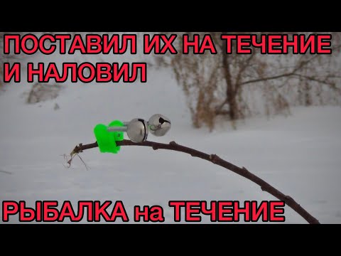 Видео: ПОСТАВИЛ ИХ НА ТЕЧЕНИЕ и НАЛОВИЛ / РЫБАЛКА на ОКЕ
