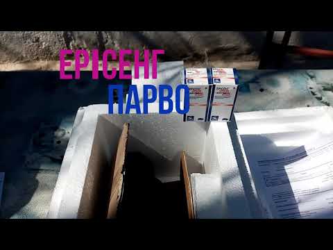 Видео: Вакцына от парвовируса.ЕРИСЕНГ ПАРВО.Моя вет аптечка на сумму 250$.ФЕТ ФАКТОР.