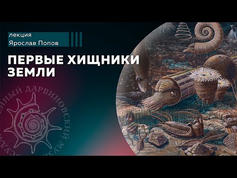 Видео: Первые хищники Земли