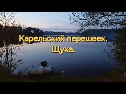 Видео: Карельский перешеек  Щука